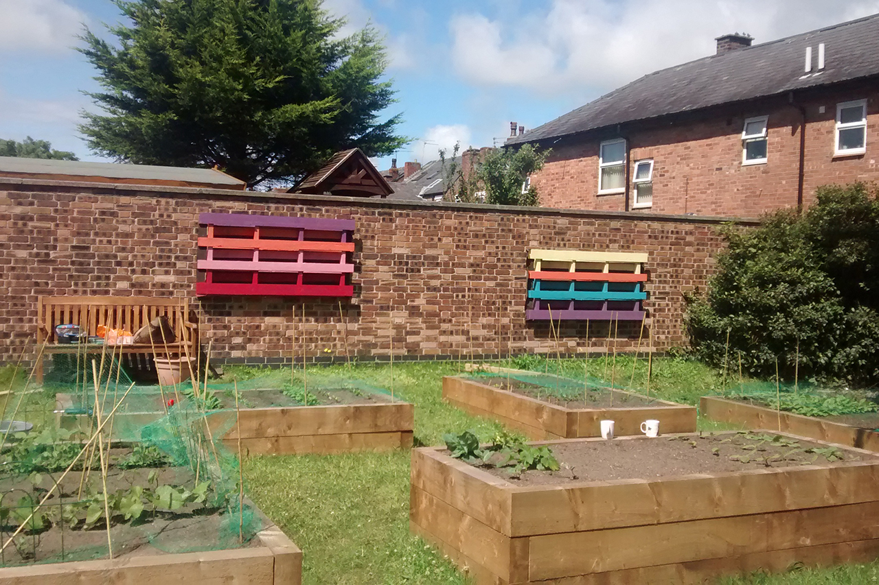 Our Community Garden Has Been Featured on Groundwork